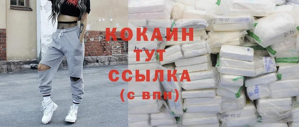 мескалин Заводоуковск