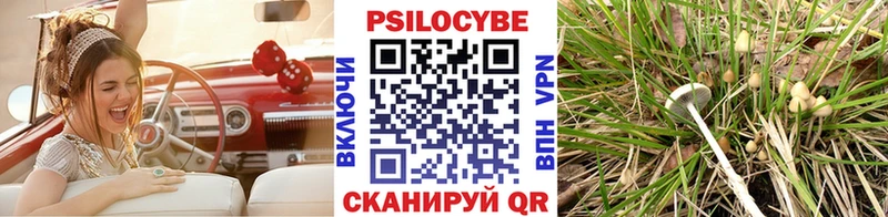 Псилоцибиновые грибы Cubensis  Купить  Опочка 